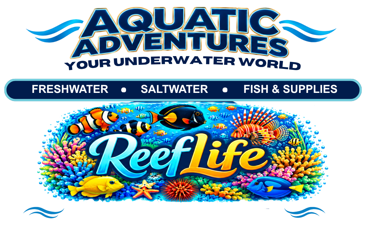 Aquatic Adventures, Savannah, Georgia